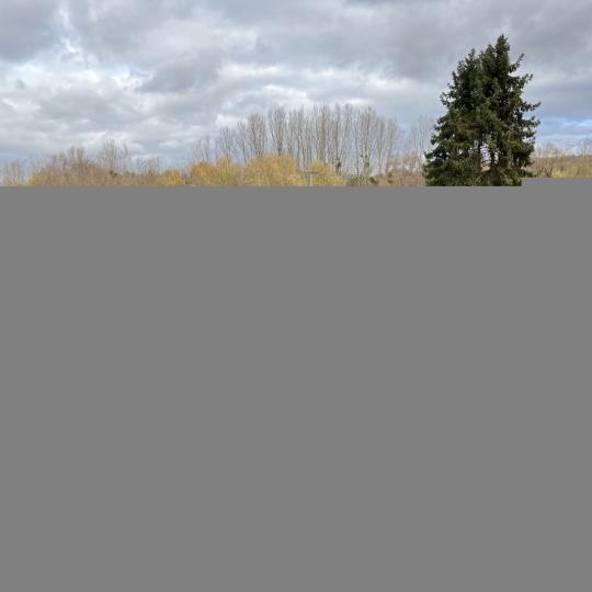 Annonces NANCY  : Maison / Villa | FLAVIGNY-SUR-MOSELLE (54630) | 120.00m2 | 170 000 € 